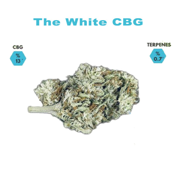 The White CBG Hemp Flower Buds | Maircado